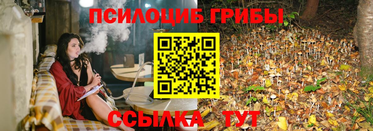 Старая Купавна  купить закладку  Вход с VPN  Галлюциногенные грибы Magic Shrooms 