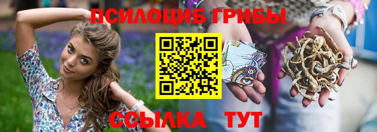 Псилоцибиновые грибы Psilocybe Старая Купавна
